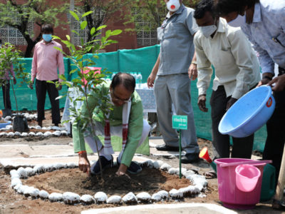 विश्व पर्यावरण दिवस: मुख्यमंत्री शिवराज सिंह ने किया पौधारोपण