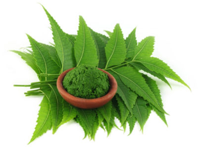 जानिए नीम कैसे पहुंचाता है आपको फाएदा