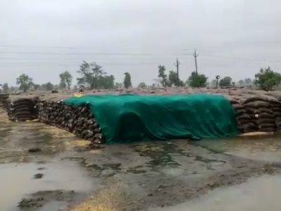 बारिश ने बढ़ाई किसानों की मुश्किल, खुले में रखा हजारों टन गेंहू भीगा