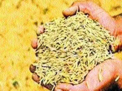 किसान के लिए राहत बात, 50 कुंतल से अधिक धान बेचा जा सकेगा किसी भी दिन