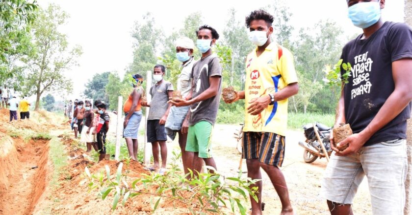 उद्यानिकी को बढ़ावा देने मनरेगा के साथ कृषि, सहकारिता एवं किसान कल्याण विभाग तथा केंद्रीय ग्रामीण विकास विभाग की योजनाओं का अभिसरण