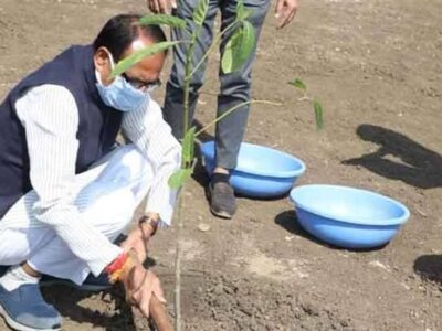 मुख्यमंत्री चौहान ने रोपा कदम्ब का पौधा