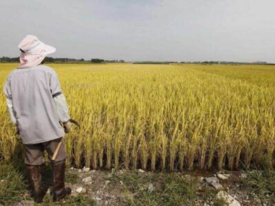 क्या पूरे देश के किसानों को न्यूनतम समर्थन मूल्य देना संभव है, कहां से आयेगा पैसा?