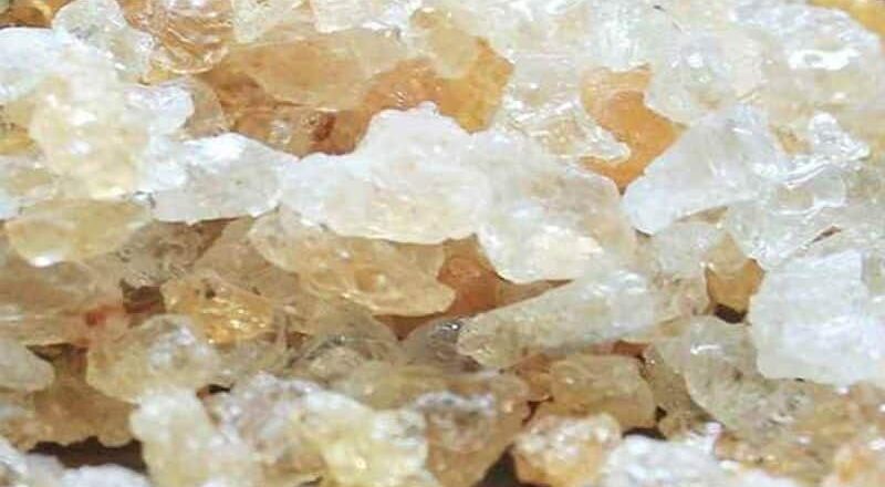 ठंड के दिनों में गोंद का इस्तेमाल करना बेहद फायदेमंद