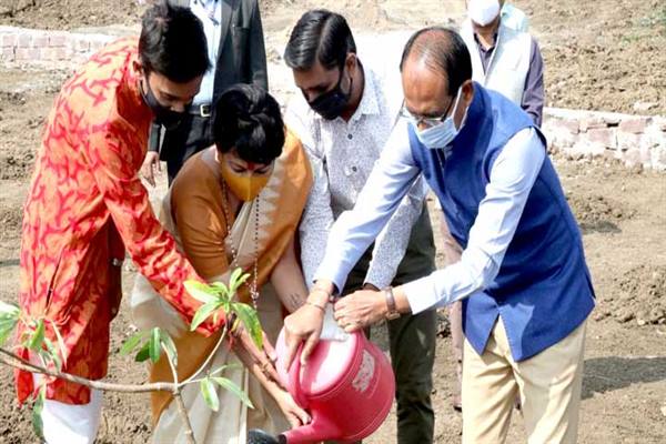 मुख्यमंत्री चौहान ने आज स्मार्ट उद्यान में सप्तपर्णी और नीम का पौधा लगाया