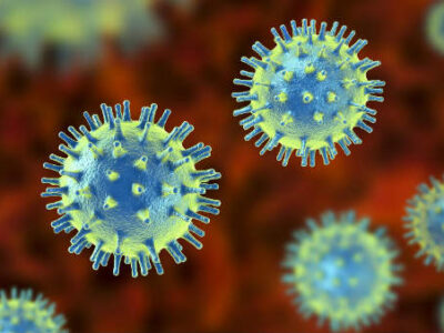 केंद्र सरकार ने जारी किया अलर्ट: दक्षिण अफ्रीका में मिला कोरोना का नया वेरिएंट भारत के लिए बन सकता है खतरा