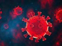 कोरोना का सिर्फ 1 नया केस राजस्थान में, हिमाचल, केरल, तमिलनाडु समेत अन्य राज्यों का क्या है हाल?