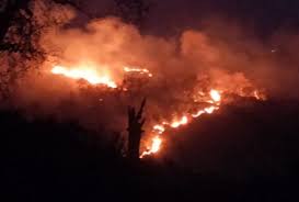 उत्तराखंड में जंगल सर्दियों में भी धधक रहे,वन विभाग से सुरक्षा की गुहार पर इतंजा