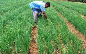 पुरानी जांच रिपोर्ट आई नहीं, लगातार भरे जा रहे हैं नमूने