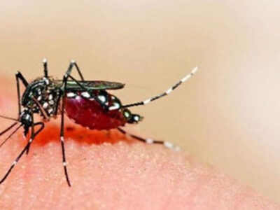 कानपुर में जीका वायरस के 25 मामले, दो गर्भवती महिलाएं भी संक्रमित