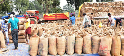 उपार्जन केंद्रो में 42 हजार 967 क्विंटल धान की हुई खरीदी