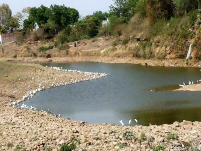 केन्द्रीय कृषि मंत्री तोमर के प्रयासों से ग्वालियर को मिली एक और बड़ी सौगात
