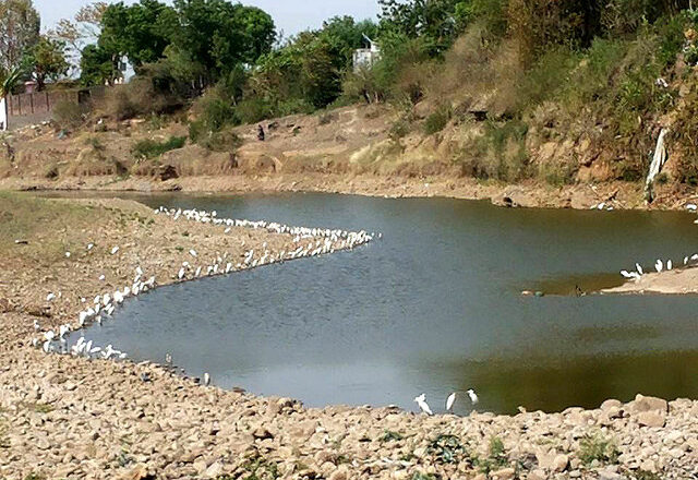 केन्द्रीय कृषि मंत्री तोमर के प्रयासों से ग्वालियर को मिली एक और बड़ी सौगात