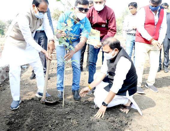 मुख्यमंत्री चौहान ने क्रिकेट एसोसिएशन फॉर ब्लाइंड के पदाधिकारियों के साथ किया पौधा-रोपण