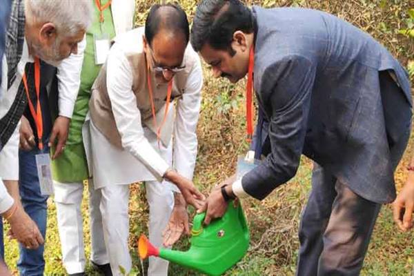 मुख्यमंत्री चौहान ने वाराणसी में किया पौध-रोपण
