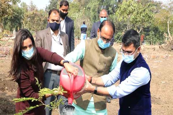 मुख्यमंत्री चौहान ने ड्रीम भोपाल ग्रीन भोपाल फाउंडेशन के साथ किया पौध-रोपण