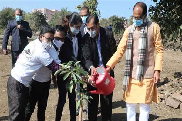 मुख्यमंत्री चौहान ने सप्तपर्णी और कदंब का पौधा लगाया