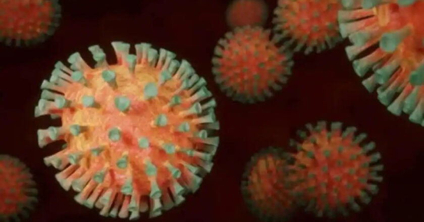 राजस्थान 24 घंटे में ओमिक्रॉन के 21 नए मामले आए सामने, मचा हड़कंप, जयपुर में सबसे ज्यादा मामले