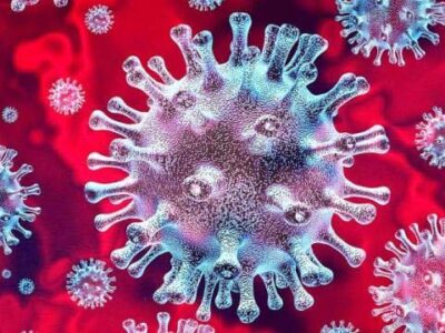 ओमिक्रोन की दस्तक के बीच इस जिले ने जारी की गाइडलाइन, तीन दिन पहले देनी होगी शादी की जानकारी