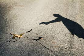 रात में किसी वक्त घर लौटेगा हत्यारोपित डॉ. सुशील!