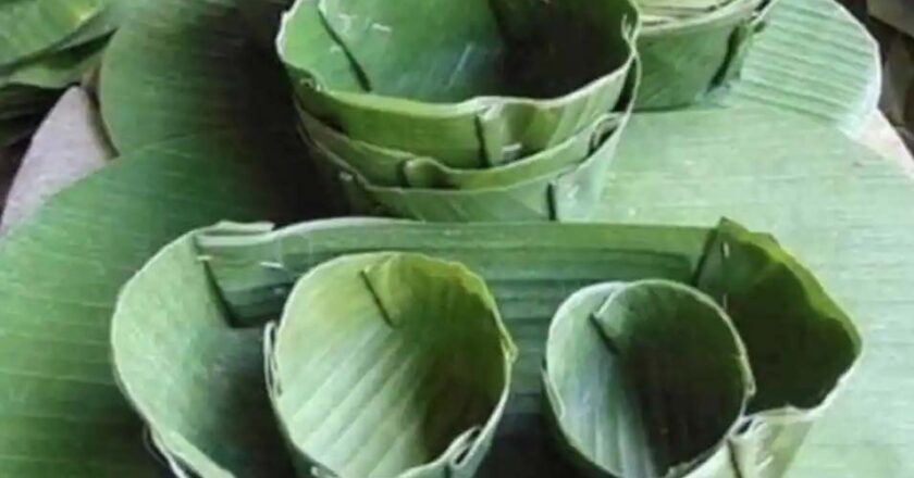 डेढ़ दशक बाद लौटेगा पत्ते की थाली और कटोरी का जमाना, दस हजार लोगों को मिलेगा रोजगार