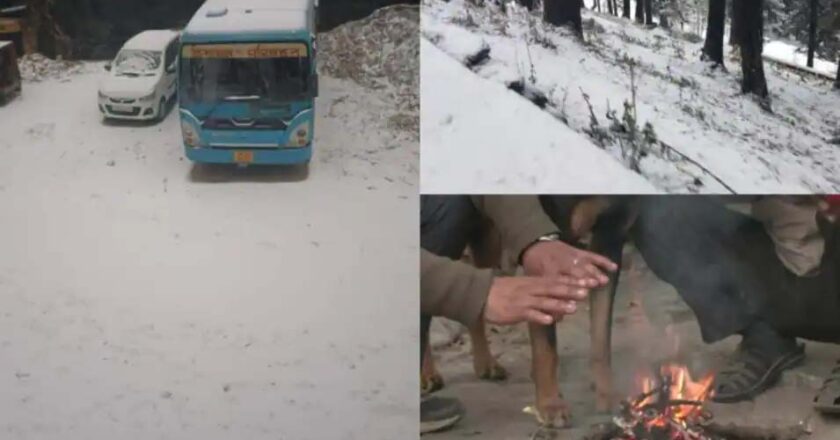 सर्दी ने शुरू किया सितम, उत्तर भारत में बर्फबारी; दिल्ली-राजस्थान में ठंडी हवाओं ने छुड़ाई कंपकपी