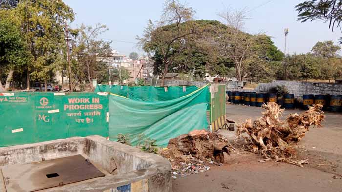 पब्लिसिटी के लिए निगम कर रहा पर्यावरण से खिलवाड़ , 30 साल पुराने  पेड़ों पर चलेगी कुल्हाड़ी