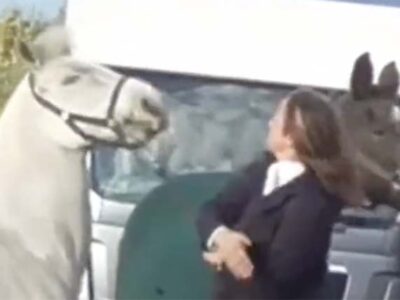 महिला टीचर ने घोड़े को मरी लात, वीडियो वायरल होते ही नौकरी गई