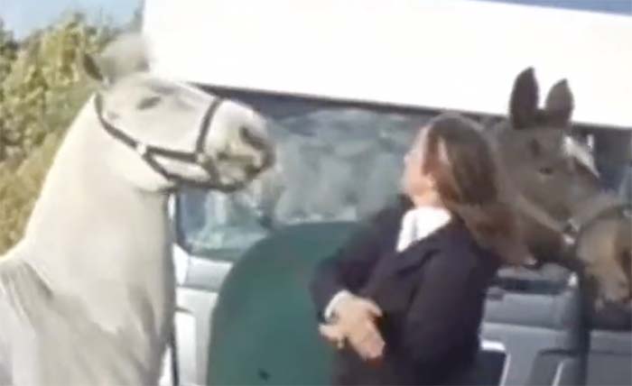 महिला टीचर ने घोड़े को मरी लात, वीडियो वायरल होते ही नौकरी गई