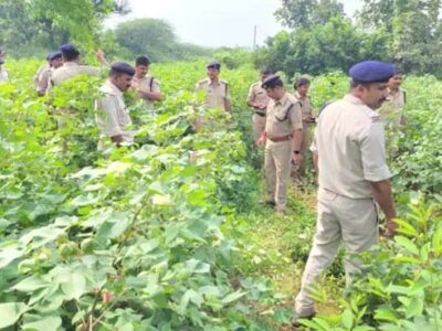 अलीराजपुर एसपी की टीम ने कपास की आड़ में गांजे की खेती का भांडा किया फोड़, दो ट्रक गांजे के पौधे किये जब्त ,तीन गिरफ्तार
