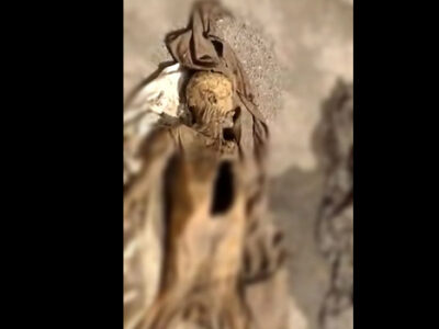 मुल्तान के एक अस्पताल की छत पर मिलीं 200 सड़ी-गली लाशें