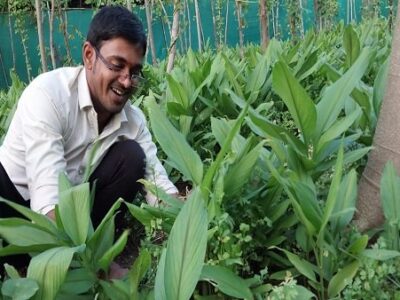 काली हल्दी की खेती कर मालामाल हो रहे है किसान