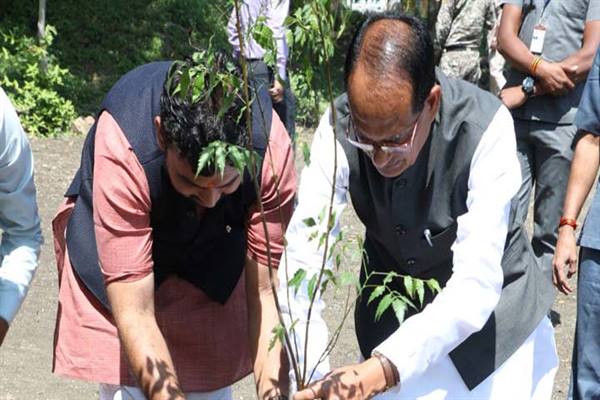 मुख्यमंत्री चौहान ने कवि तथा ओजस्वी वक्ता सुमित ओरछा के साथ किया पौध-रोपण