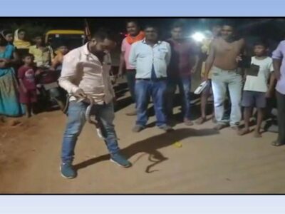 ग्राम रिसदी में मिला वन सुंदरी सांप