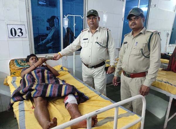 भालू के हमले से एक घायल, विभाग ने दी सहायता राशि