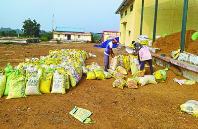 ’1 नवम्बर से शुरू होगी धान खरीदी, जिले में 20 खरीदी केन्द्रों में 20 हजार से अधिक किसान बेचेंगे धान’