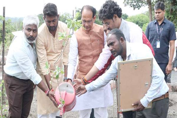 मुख्यमंत्री चौहान ने पीपल, गुलमोहर और खिरनी के पौधे लगाए