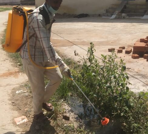 डेंगू के लार्वा को नष्ट करने के लिए जिले में हो रहा दवा का छिड़काव