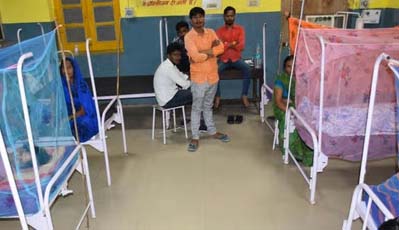 प्रदेश में डेंगू के मरीजों की संख्या 1246 पहुंची ,अकेले राजधानी में  271 मामले