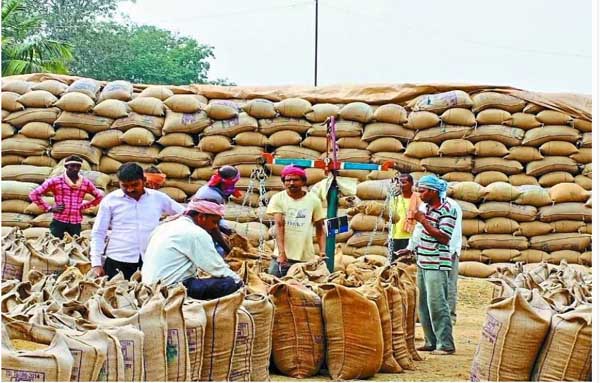 जीपीएम जिले के किसानों को अब तक 113.10 करोड़ रूपए बोनस के रूप में वितरित