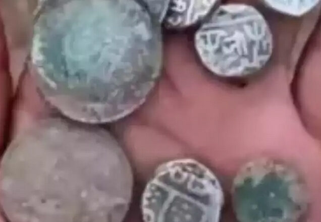 कूनो नेशनल पार्क में खुदाई के दौरान मजदूरों को मिला सिक्कों से भरा घड़ा ,राजपरिवार ने किया दावा