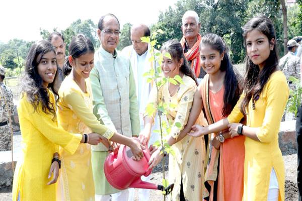 मुख्यमंत्री चौहान ने नीम, केसिया और शहतूत के पौधे लगाए