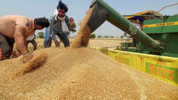 देश में अनाज का भंडारण 5 साल के सबसे निचले स्तर पर पहुंचा