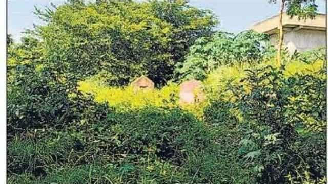 मुसलिम कब्रिस्तानों में पक्की कब्रों और एडवांस प्लाट पर रोक, जगह न बचने से मुर्दों को दफनाने में दिक्कत