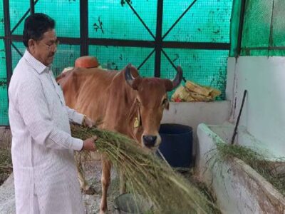 पृथ्वी मात्र मनुष्यों की ही नहीं, अन्य प्राणी भी हैं बराबर के साझेदार