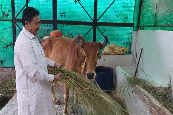 पृथ्वी मात्र मनुष्यों की ही नहीं, अन्य प्राणी भी हैं बराबर के साझेदार