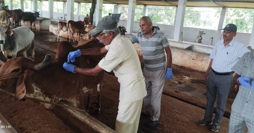 सांसद श्री मिश्र ने 85 क्यूबिक मीटर की क्षमता वाले बायोगैस