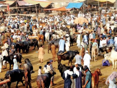 ग्रामीण अंचलोें में लगने वाले हॉट बाजारों मेें अब शुल्क देना होगा