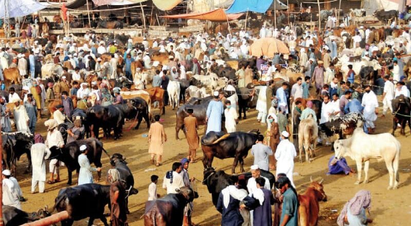 ग्रामीण अंचलोें में लगने वाले हॉट बाजारों मेें अब शुल्क देना होगा