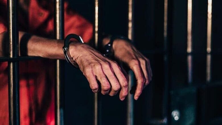 विद्युत चोरी के मामले में एक वर्ष के कारावास सहित अर्थदण्ड की सजा